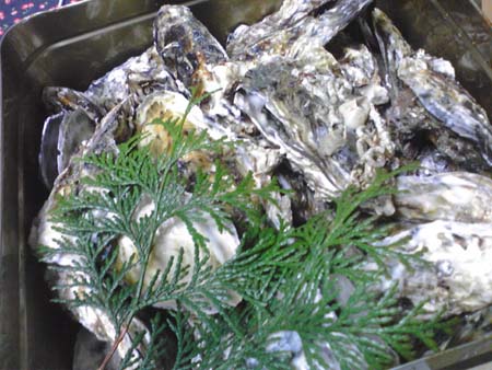 c0174711_14151189.jpg