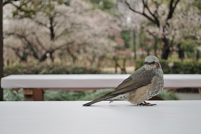 2月20日_a0036513_013530.jpg
