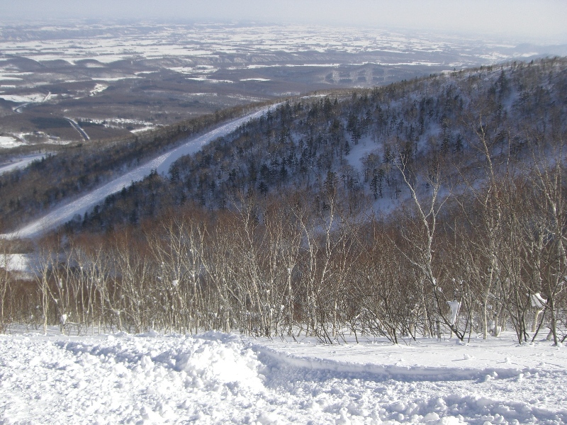 f0138313_9162346.jpg