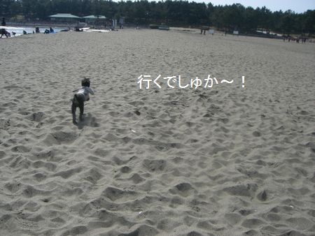 f0197317_1432568.jpg