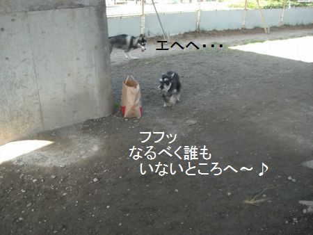 f0197317_1543941.jpg