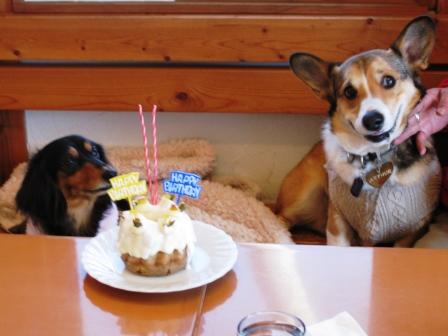 Happy Birthday オリーブ姐さん&アーサー君~♪_f0155118_6475071.jpg