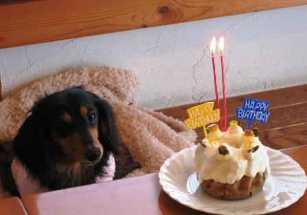 Happy Birthday オリーブ姐さん&アーサー君~♪_f0155118_6543930.jpg