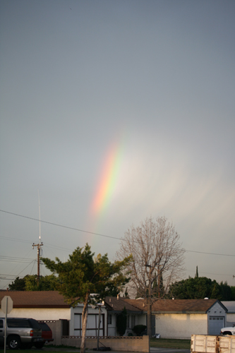 a0095031_15423318.jpg