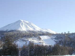 a0113431_11344914.jpg