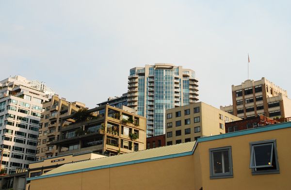 e0098241_9503975.jpg
