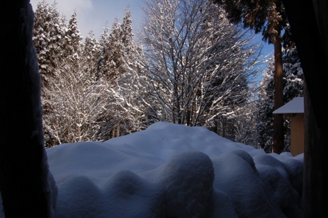 雪の上がった快晴の朝の気持ちよさ_c0002943_12133614.jpg