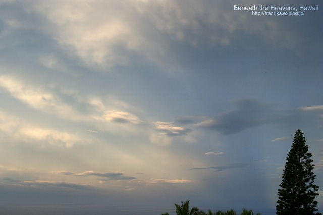 e0129046_865835.jpg