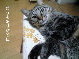 f0116546_23464121.gif