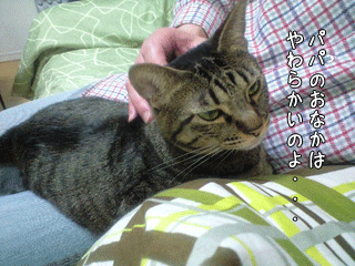 f0116546_2347445.gif