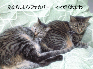 f0116546_2348351.gif