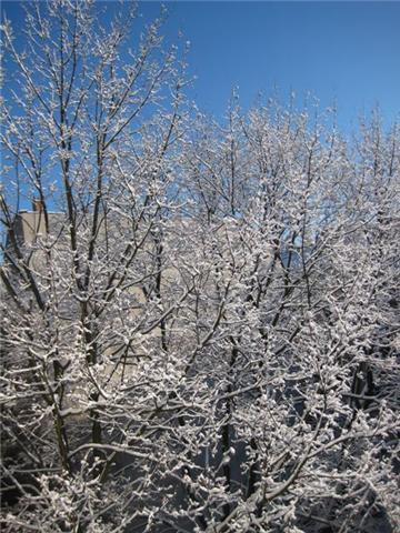 f0002750_226071.jpg