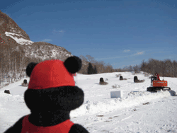 b0159557_1731456.gif