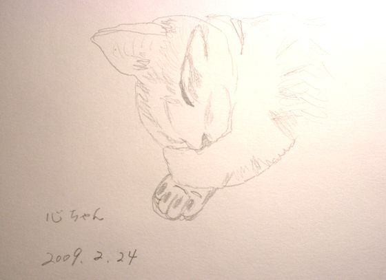 2009年2月24日(火)寒い日の過ごし方は・・・・・_f0060461_19581619.jpg