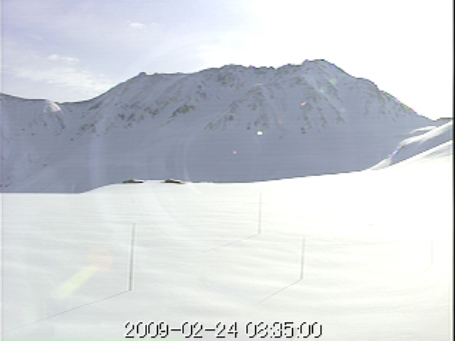 d0110562_8385413.jpg