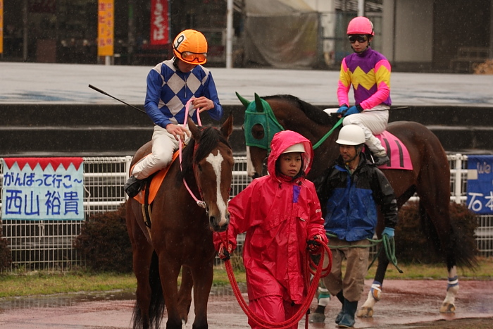 2009年2月22日(日) 高知競馬 6R_a0077663_18181420.jpg