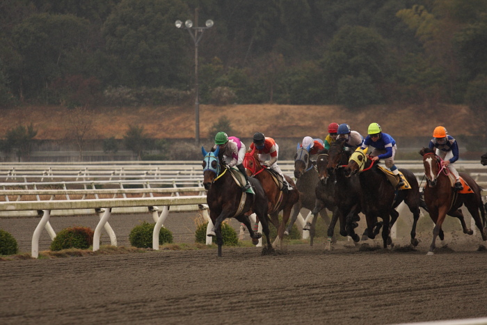 2009年2月22日（日） 高知競馬 6R_a0077663_18183017.jpg
