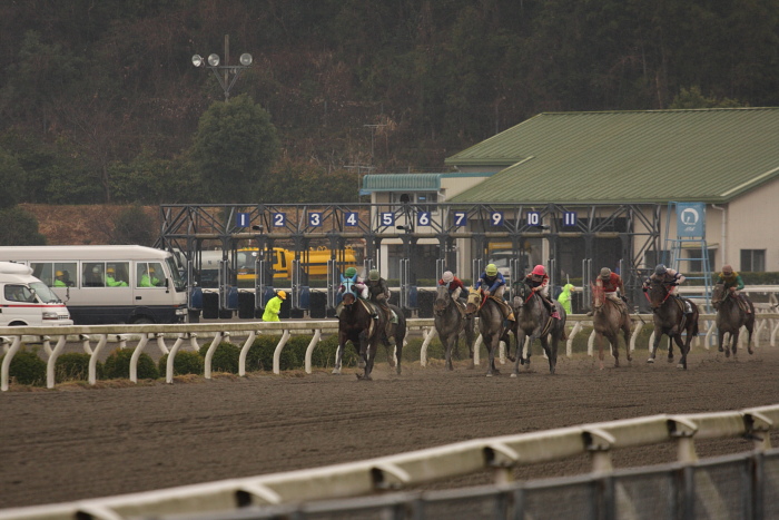 2009年2月22日（日） 高知競馬 6R_a0077663_18184651.jpg