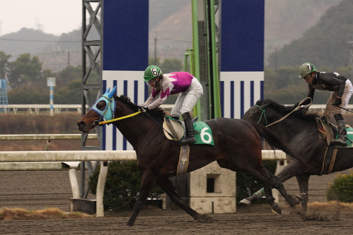 2009年2月22日(日) 高知競馬 6R_a0077663_1819446.jpg