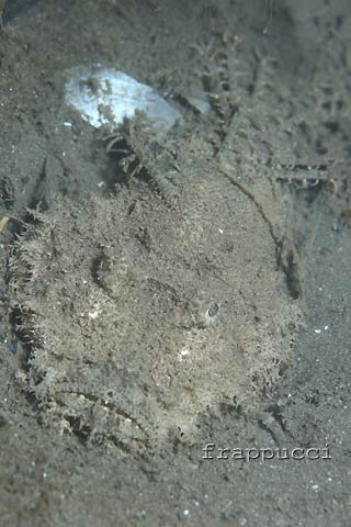 d0056263_2365382.jpg