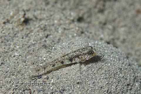 d0056263_2372771.jpg