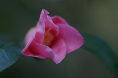 d0141365_2158599.jpg
