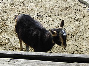 f0196665_013669.jpg