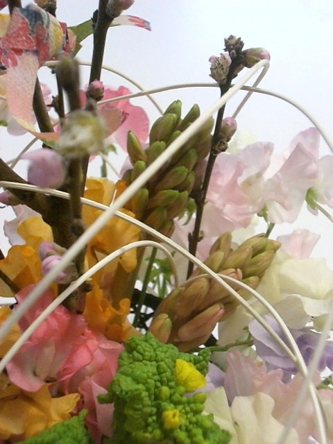 b0119969_17105220.jpg