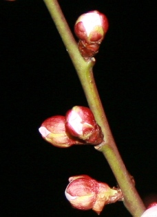 f0088569_2129504.jpg
