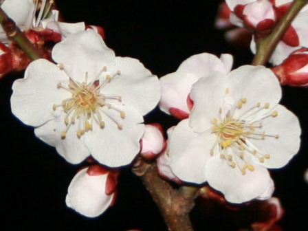 f0088569_2129691.jpg