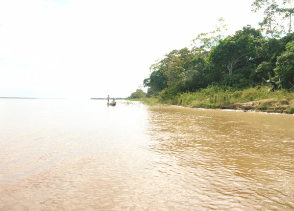 Manaus --- 24 February (2007)_e0161572_1311411.jpg