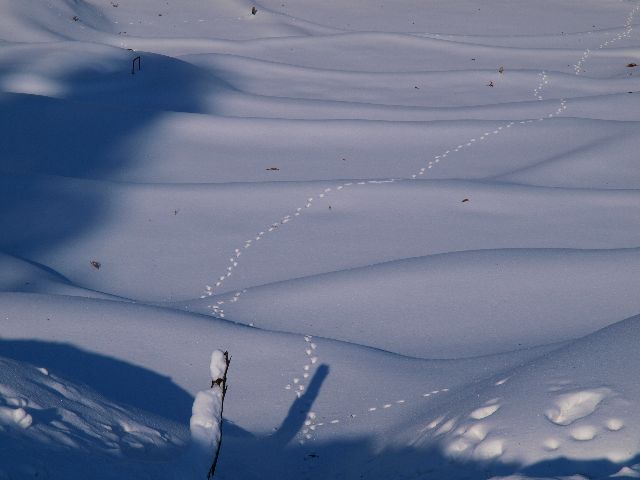 五十子平と新田の棚田_a0025576_2281842.jpg