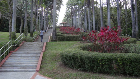 Ang Mo Kio Town Garden West_a0002177_20391973.jpg