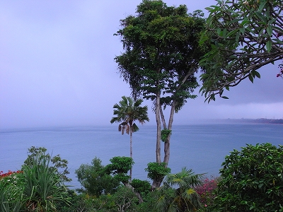 b0101284_2145344.jpg