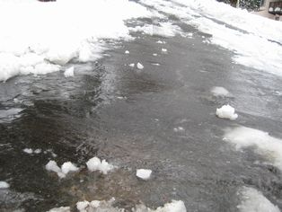 c0099395_934215.jpg
