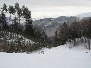 c0099395_94027.jpg