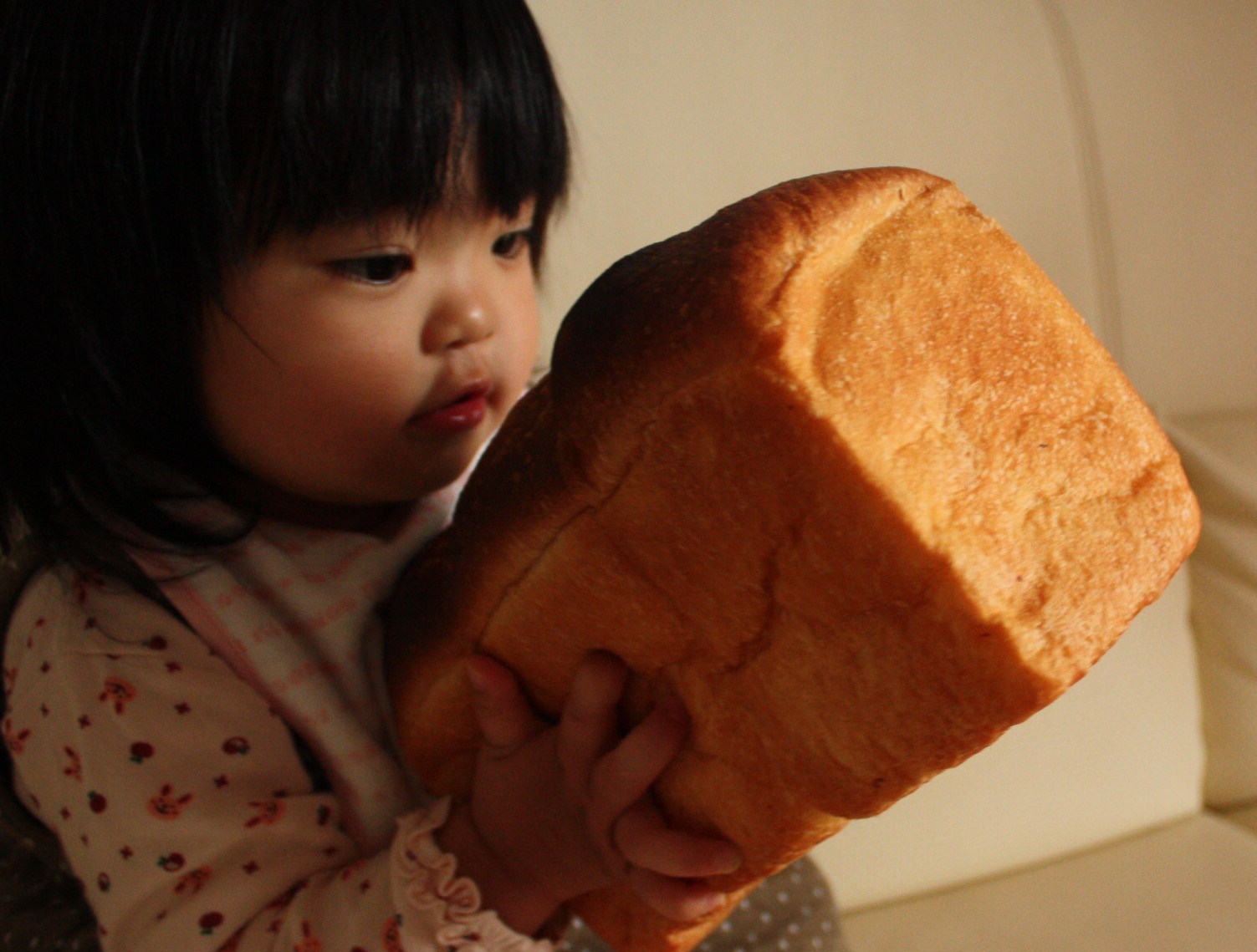 襲撃される山食…。_b0135497_2213318.jpg