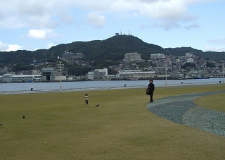 ついでの散歩 「水辺の森公園」_a0065498_8122135.jpg