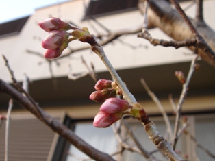 e0143298_22155611.jpg
