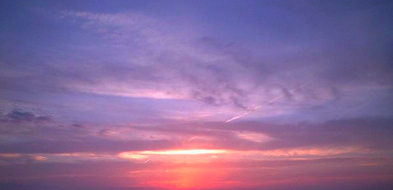 a0116409_2022197.jpg