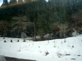 c0177910_1243927.jpg
