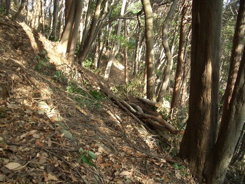 岩本山の森づくり　森の力再生事業_f0141310_22213286.jpg