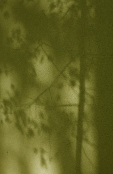 f0139911_20183845.jpg