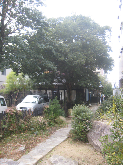 b0131012_1743126.jpg
