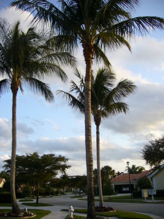 e0049015_842950.jpg