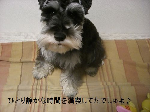 f0197317_20142581.jpg