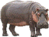 f0085327_13271164.gif