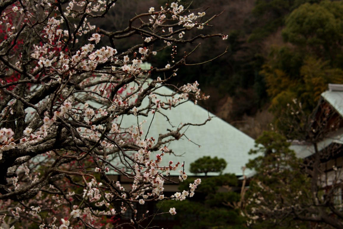 浄妙寺_b0129829_2341589.jpg