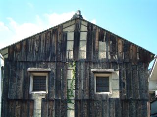 c0196340_2174887.jpg
