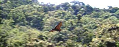f0147840_2015670.jpg